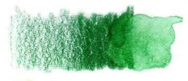 Prismacolor Watercolor Grass Green | WC2909